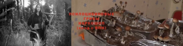 spice Вязники