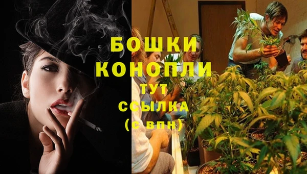 ALPHA PVP Вяземский
