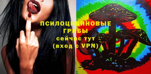 spice Вязники