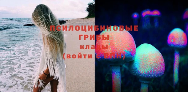 дмт Вязьма
