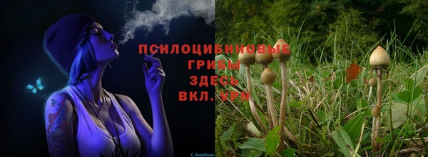 дмт Вязьма
